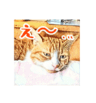 みんなのにゃんこ（個別スタンプ：3）