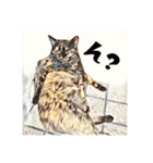 みんなのにゃんこ（個別スタンプ：4）