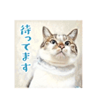 みんなのにゃんこ（個別スタンプ：6）