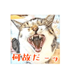 みんなのにゃんこ（個別スタンプ：8）