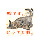 みんなのにゃんこ（個別スタンプ：12）