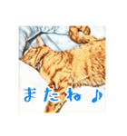 みんなのにゃんこ（個別スタンプ：18）