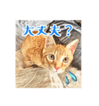みんなのにゃんこ（個別スタンプ：30）