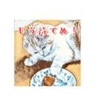 みんなのにゃんこ（個別スタンプ：33）