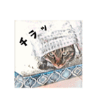 みんなのにゃんこ（個別スタンプ：36）
