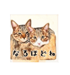 みんなのにゃんこ（個別スタンプ：40）