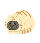 ぽんたくんスタンプ2（個別スタンプ：1）