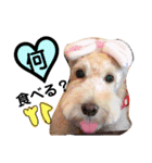 ココとおまめ♡（個別スタンプ：3）