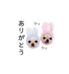 こはしんさんGO！（個別スタンプ：4）
