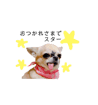 こはしんさんGO！（個別スタンプ：34）