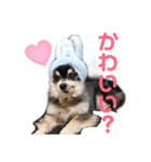 チワワの日常。（個別スタンプ：2）