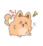 ふわもふ！タロちゃんスタンプ！（個別スタンプ：14）