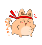 ふわもふ！タロちゃんスタンプ！（個別スタンプ：15）