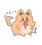 ふわもふ！タロちゃんスタンプ！（個別スタンプ：20）