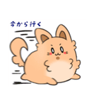 ふわもふ！タロちゃんスタンプ！（個別スタンプ：23）