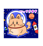 ふわもふ！タロちゃんスタンプ！（個別スタンプ：24）