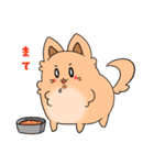 ふわもふ！タロちゃんスタンプ！（個別スタンプ：30）