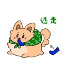 ふわもふ！タロちゃんスタンプ！（個別スタンプ：31）