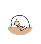 アヒルちゃんToby（個別スタンプ：17）