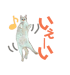 保護猫ユキと保健所猫うみ2（個別スタンプ：8）