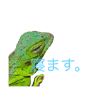爬虫類＆両生類＆哺乳類（個別スタンプ：8）
