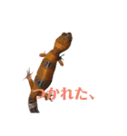 爬虫類＆両生類＆哺乳類（個別スタンプ：16）
