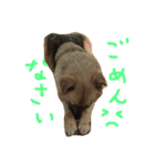 えんJOY-mスタンプ（個別スタンプ：3）