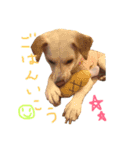 えんJOY-mスタンプ（個別スタンプ：7）