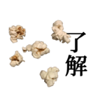 ポップコーン と 漢字（個別スタンプ：24）