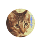 まゆこのねこ（個別スタンプ：2）