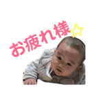 トラのすけとワンコの日々（個別スタンプ：6）