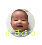 トラのすけとワンコの日々（個別スタンプ：8）