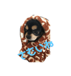 かるぴん（個別スタンプ：2）
