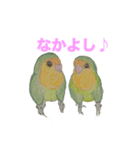 コザクラインコのライム（個別スタンプ：7）