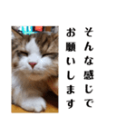 猫のまいまい-日常編-（個別スタンプ：4）