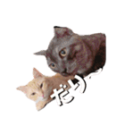 凪咲＆ペット1（個別スタンプ：16）