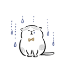 ねこ友の毎日（個別スタンプ：10）