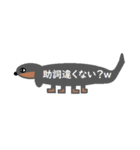 汎用性の高いダックスフント（個別スタンプ：12）