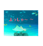 水族館にて（個別スタンプ：8）