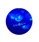 水族館にて（個別スタンプ：10）