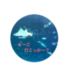 水族館にて（個別スタンプ：11）