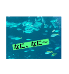 水族館にて（個別スタンプ：12）