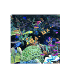 水族館にて（個別スタンプ：14）