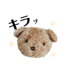 うちのくんちゃんスタンプその2（個別スタンプ：5）