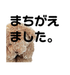 うちのくんちゃんスタンプその2（個別スタンプ：10）