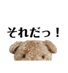 うちのくんちゃんスタンプその2（個別スタンプ：13）