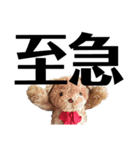 うちのくんちゃんスタンプその2（個別スタンプ：31）