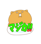 もじねこ日常会話編（個別スタンプ：10）