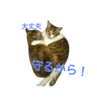 ツンデレヤンヤン②（個別スタンプ：5）