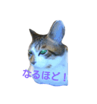 ツンデレヤンヤン②（個別スタンプ：10）